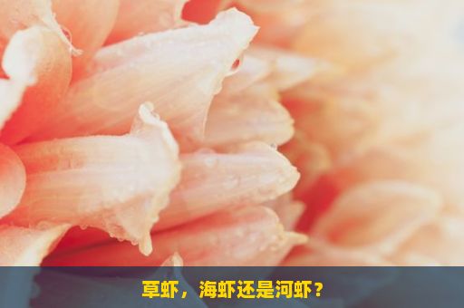 草虾，海虾还是河虾？