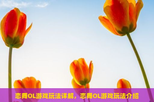 恋舞OL游戏玩法详解，恋舞OL游戏玩法介绍