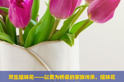 双生姐妹花——以爱为桥梁的家族传承，姐妹花，共谱人生之歌