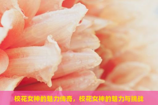 校花女神的魅力传奇，校花女神的魅力与挑战