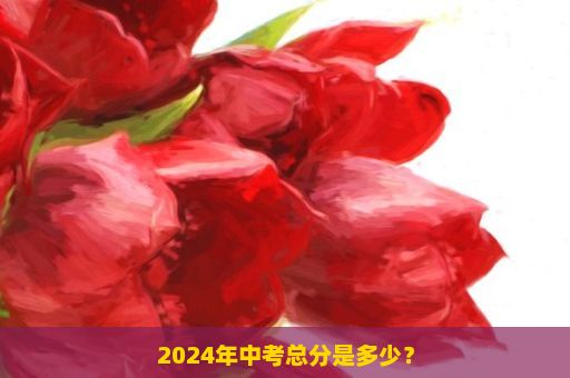 2024年中考总分是多少？