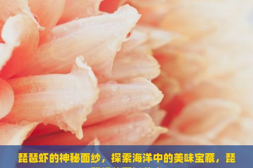 琵琶虾的神秘面纱，探索海洋中的美味宝藏，琵琶虾的烹饪艺术