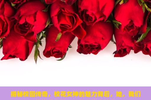 揭秘校园传奇，校花女神的魅力背后，她，我们的校花女神——青春的守护者