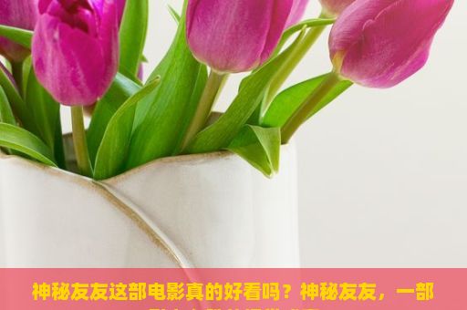 神秘友友这部电影真的好看吗？神秘友友，一部引人入胜的视觉盛宴