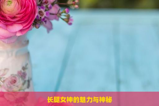 长腿女神的魅力与神秘