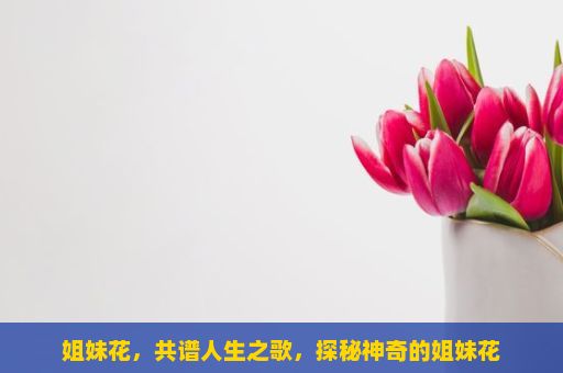 姐妹花，共谱人生之歌，探秘神奇的姐妹花