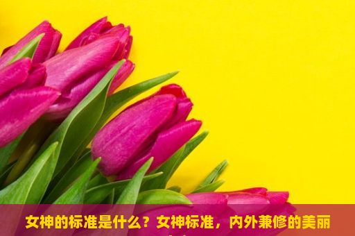 女神的标准是什么？女神标准，内外兼修的美丽定义