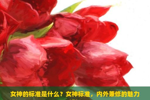 女神的标准是什么？女神标准，内外兼修的魅力解析