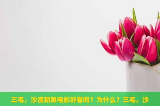 三毛，沙漠新娘电影好看吗？为什么？三毛，沙漠新娘电影深度解析