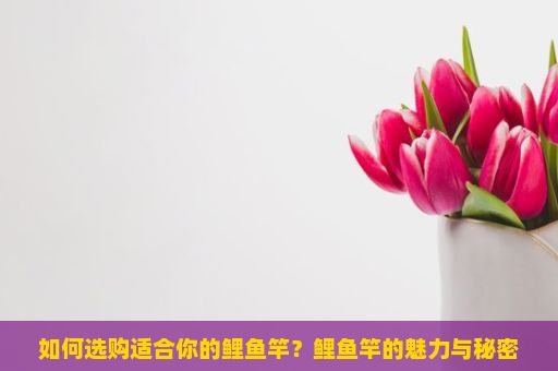 如何选购适合你的鲤鱼竿？鲤鱼竿的魅力与秘密