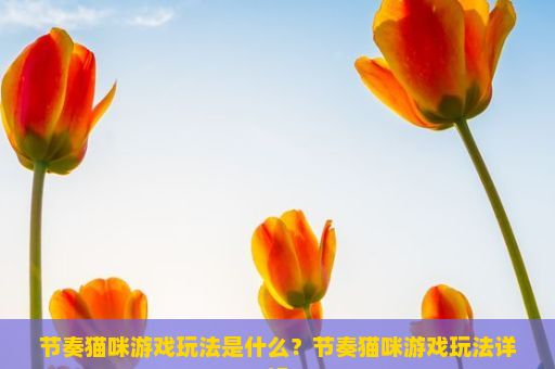 节奏猫咪游戏玩法是什么？节奏猫咪游戏玩法详解