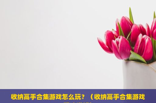 收纳高手合集游戏怎么玩？（收纳高手合集游戏玩法详解）