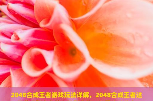 2048合成王者游戏玩法详解，2048合成王者这款游戏到底有什么特别之处？新手攻略分享