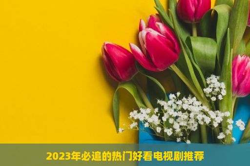 2023年必追的热门好看电视剧推荐