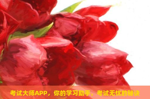 考试大师APP，你的学习助手，考试无忧的秘诀