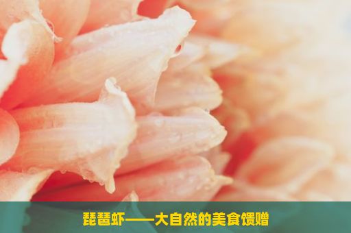 琵琶虾——大自然的美食馈赠