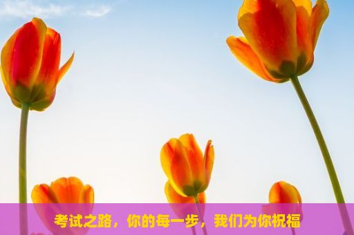 考试之路，你的每一步，我们为你祝福