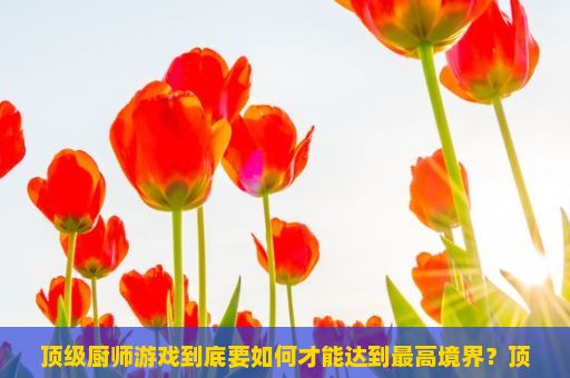 顶级厨师游戏到底要如何才能达到最高境界？顶级厨师游戏玩法详解