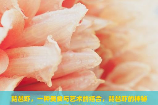 琵琶虾，一种美食与艺术的结合，琵琶虾的神秘面纱，探索海洋中的美味佳肴