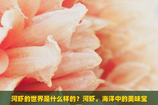 河虾的世界是什么样的？河虾，海洋中的美味宝藏