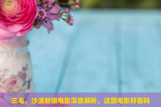 三毛，沙漠新娘电影深度解析，这部电影好看吗？三毛，沙漠新娘这部电影真的好看吗？