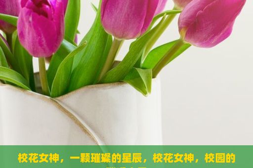 校花女神，一颗璀璨的星辰，校花女神，校园的璀璨之星