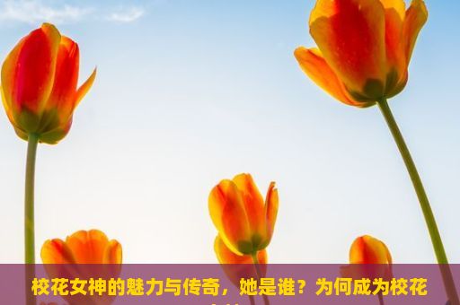 校花女神的魅力与传奇，她是谁？为何成为校花女神？