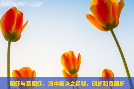 明虾与基围虾，海中美味之探秘，明虾和基围虾，这两种看似相似的海鲜到底有何不同？