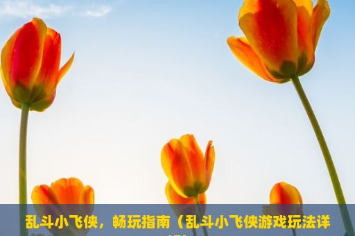 乱斗小飞侠，畅玩指南（乱斗小飞侠游戏玩法详解）