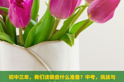 初中三年，我们该做些什么准备？中考，挑战与机遇的交汇点