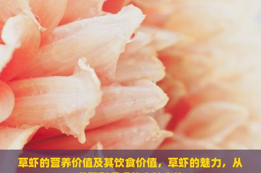 草虾的营养价值及其饮食价值，草虾的魅力，从养殖到餐桌的奇妙之旅