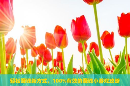 轻松赚钱新方式，100%有效的赚钱小游戏攻略