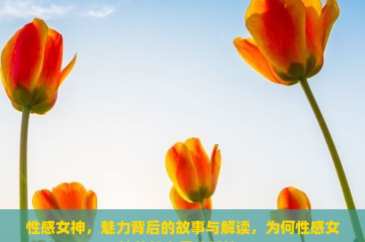 性感女神，魅力背后的故事与解读，为何性感女神的魅力无法抵挡？