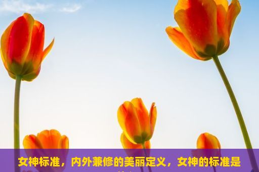 女神标准，内外兼修的美丽定义，女神的标准是什么？