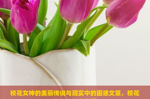 校花女神的美丽传说与现实中的困惑文章，校花女神的魅力背后