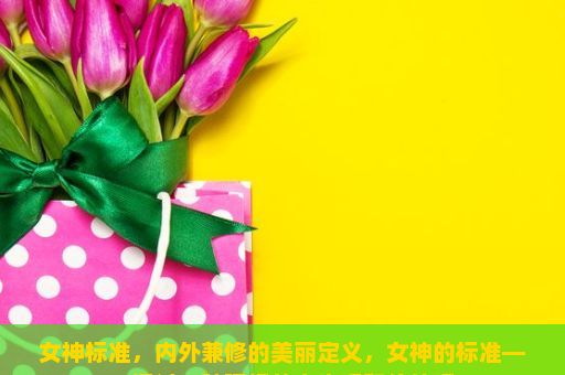 女神标准，内外兼修的美丽定义，女神的标准——探讨一种理想的人生观和价值观