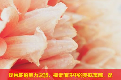 琵琶虾的魅力之旅，探索海洋中的美味宝藏，琵琶虾，一种富含营养的海鲜美食