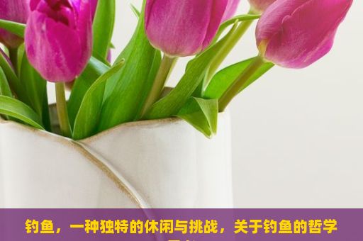 钓鱼，一种独特的休闲与挑战，关于钓鱼的哲学思考