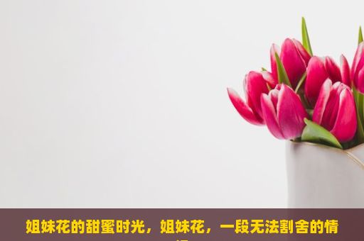 姐妹花的甜蜜时光，姐妹花，一段无法割舍的情缘