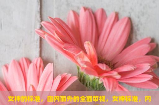 女神的标准，由内而外的全面审视，女神标准，内外兼修的魅力解读