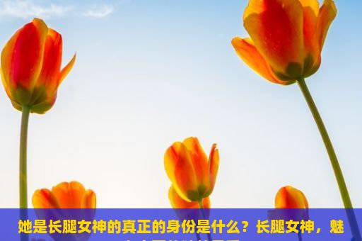 她是长腿女神的真正的身份是什么？长腿女神，魅力之下的独特风采