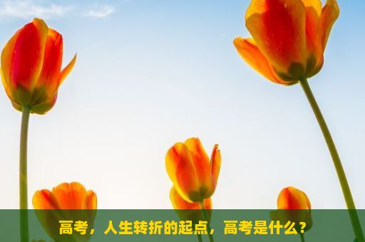 高考，人生转折的起点，高考是什么？