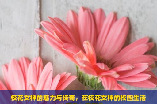 校花女神的魅力与传奇，在校花女神的校园生活中的平凡与不平凡