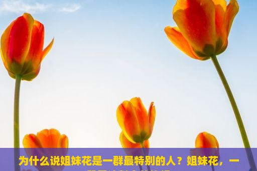 为什么说姐妹花是一群最特别的人？姐妹花，一段无法割舍的情缘