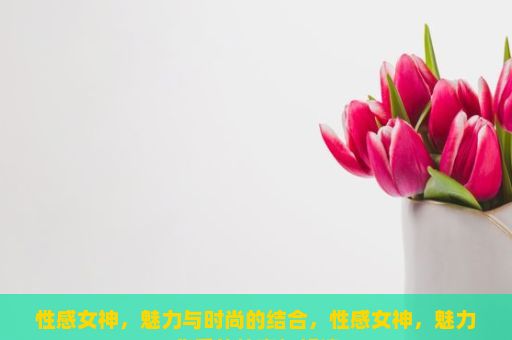 性感女神，魅力与时尚的结合，性感女神，魅力背后的故事与解读