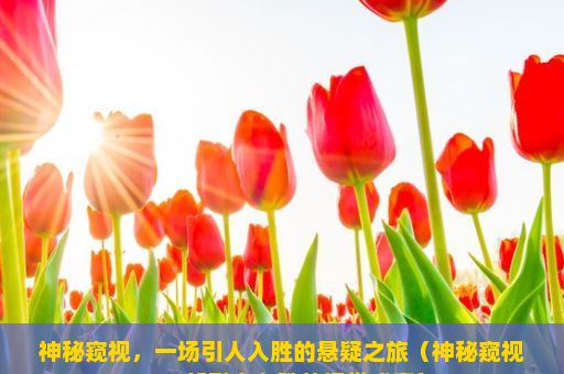 神秘窥视，一场引人入胜的悬疑之旅（神秘窥视，一部引人入胜的视觉盛宴）