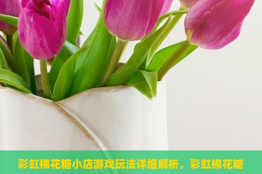 彩虹棉花糖小店游戏玩法详细解析，彩虹棉花糖小店游戏玩法详解