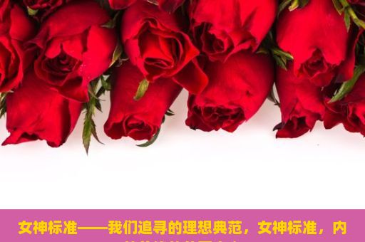 女神标准——我们追寻的理想典范，女神标准，内外兼修的美丽定义