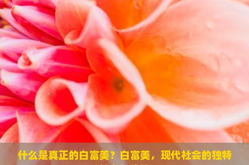 什么是真正的白富美？白富美，现代社会的独特魅力与价值