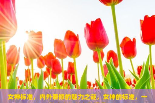 女神标准，内外兼修的魅力之谜，女神的标准，一种内在与外在的视角